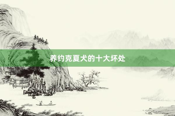 养约克夏犬的十大坏处