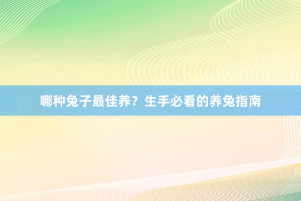 哪种兔子最佳养？生手必看的养兔指南
